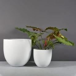 Alzira Bowl Planters
