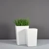 Amsterdam Tapered Rectangular Planters -Garden Plant Store Amsterdam Tapered Rectangular Planter with plants 14809.1612294079