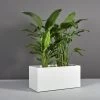 Badalona Rectangular Planters -Garden Plant Store Badalona Rectangular Planter with plants 98501.1652475615
