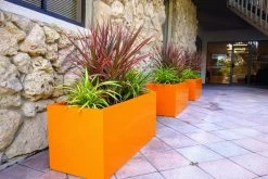 Badalona Rectangular Planters 9 Badalona Rectangular Planters -Garden Plant Store Badalona Rectangular Planters in Front of a Business 62079.1652475615