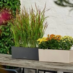 LECHUZA Balconera Stone Rectangular Balcony Planter 12 LECHUZA Balconera Stone Rectangular Balcony Planter -Garden Plant Store Balconera Stone Rectangular Balcony Planter on Table 22463.1620969643