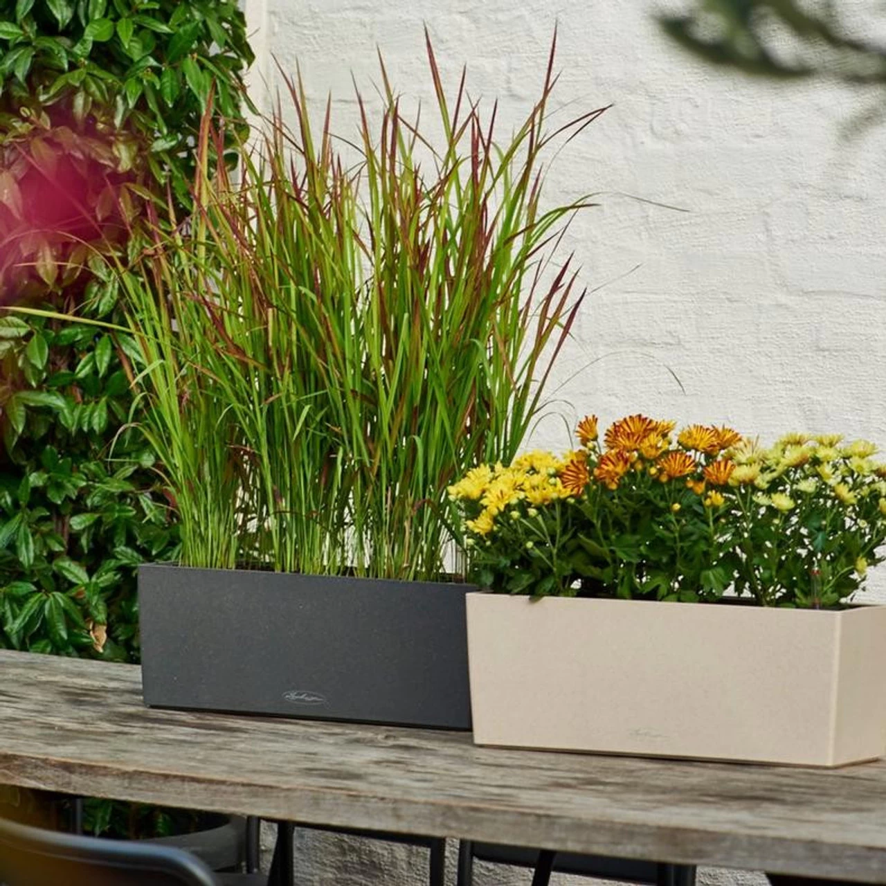 LECHUZA Balconera Stone Rectangular Balcony Planter 6 LECHUZA Balconera Stone Rectangular Balcony Planter - Image 4