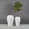 Bara Jar Planters 2 Bara Jar Planters -Garden Plant Store Bara Jar Planters with plants 33487.1655306262
