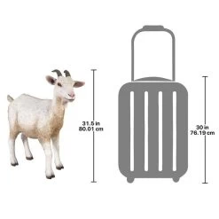 Billy Goat Statue -Garden Plant Store Billy Goat Statue Dimensions 94922.1631819672
