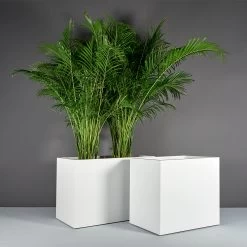 Brisbane Wide Rectangular Planters