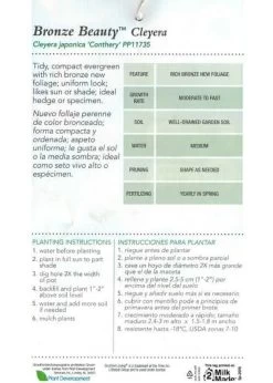 Bronze Beauty Cleyera -Garden Plant Store Bronze Beauty Cleyera Plant Care 39878.1640147227