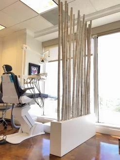 Camoux Narrow Rectangular Planters -Garden Plant Store Camoux Narrow Rectangular Planter in Doctor Office 75663.1638997468