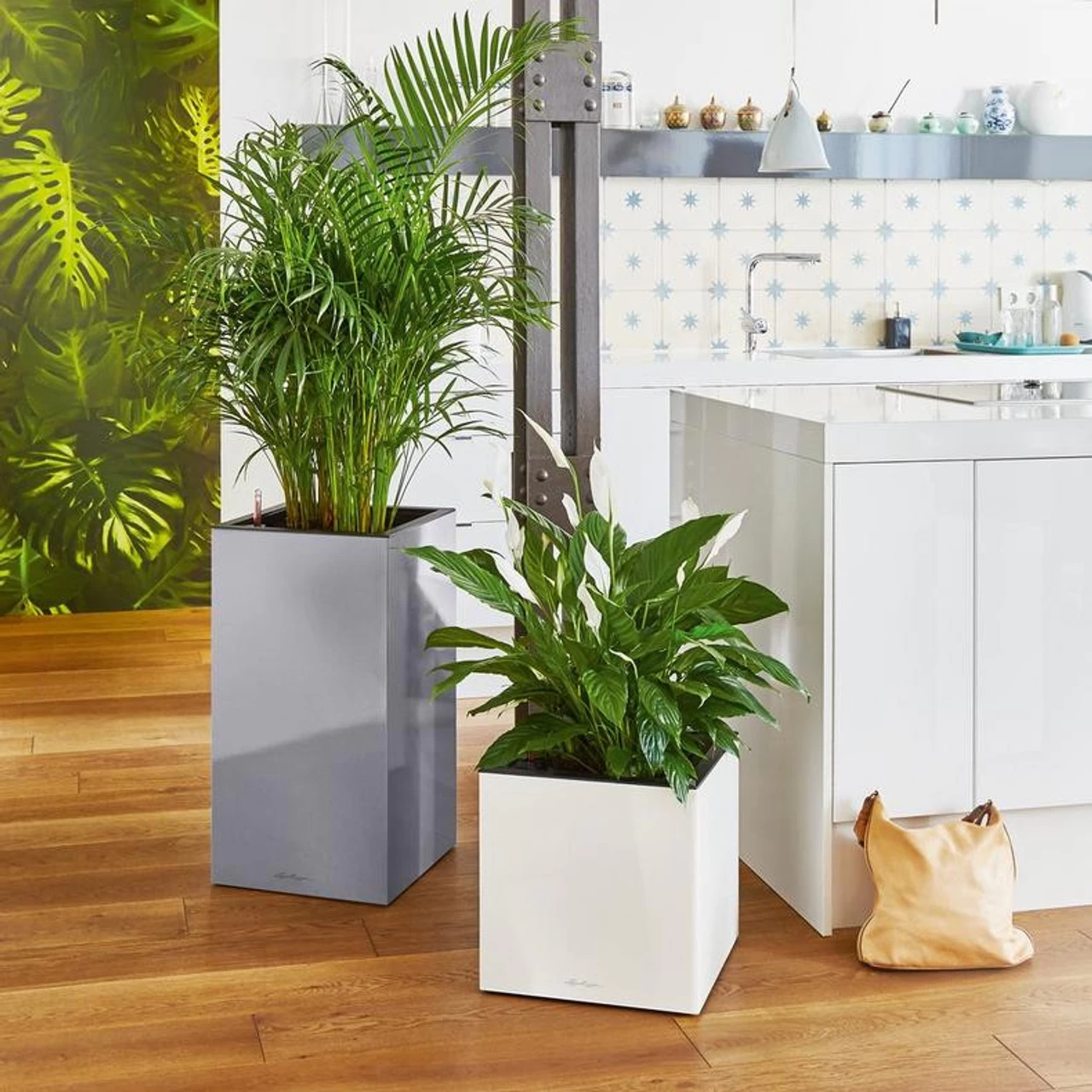 LECHUZA Canto Premium Short Square Planter 5 LECHUZA Canto Premium Short Square Planter - Image 3