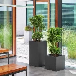 LECHUZA Canto Stone Tall Square Planter