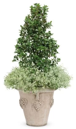 Castle Spire® Blue Holly -Garden Plant Store Castle Spire Blue Holly in Garden Planter 94000.1523140408