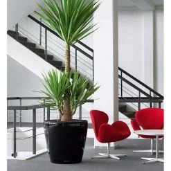 LECHUZA Classico Round Planter -Garden Plant Store Classico Round Planter in the Office 61893.1657635954