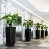 LECHUZA Cubico Alto Tall Square Planter -Garden Plant Store Commercial Cubico Alto Tall Square Planters Indoors 28540.1668791737