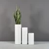 Corry Cylinder Planters -Garden Plant Store Corry Cylinder Planters with Plants 86491.1657732850