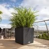 LECHUZA Cube Cottage Planter -Garden Plant Store Cube Cottage Planter on the Deck 97315.1655911453