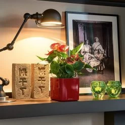 LECHUZA Cube Glossy Planter -Garden Plant Store Cube Glossy Planter Indoors 51060.1679589440