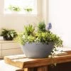 LECHUZA Cubeto Stone Bowl Planter -Garden Plant Store Cubeto Stone Bowl Planter on Indoor Table 15030.1619544164