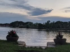 Delano Bowl Planter 17 Delano Bowl Planter -Garden Plant Store Delano Bowl Planters By The Lake 97219.1602732761