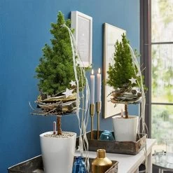 LECHUZA Deltini Round Planter 13 LECHUZA Deltini Round Planter -Garden Plant Store Deltini Round Planter For Christmas Decor 08962.1619555730