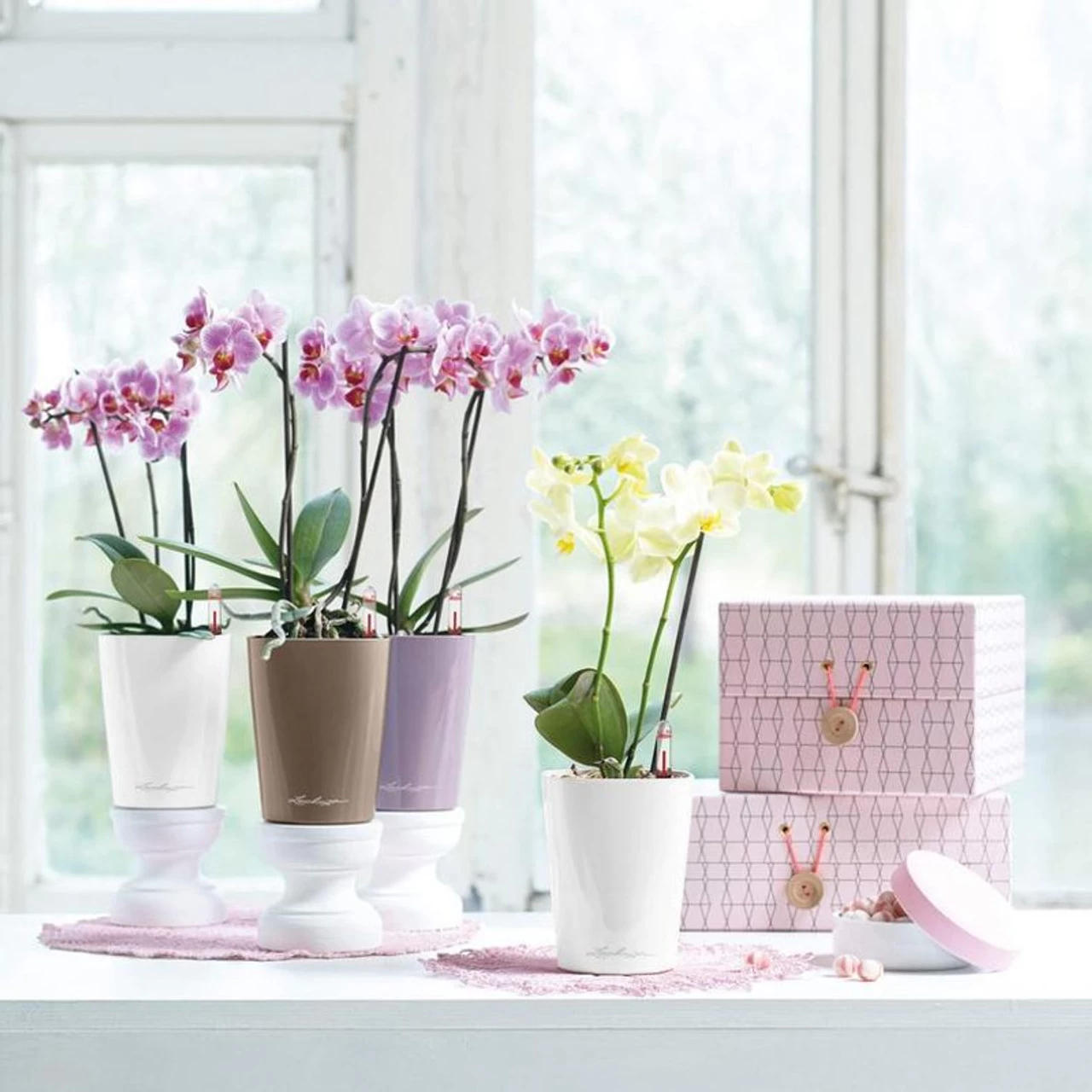 LECHUZA Deltini Round Planter 4 LECHUZA Deltini Round Planter - Image 2