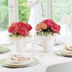 LECHUZA Deltini Round Planter 11 LECHUZA Deltini Round Planter -Garden Plant Store Deltini Round Planter With Hydrangeas 24541.1619555725