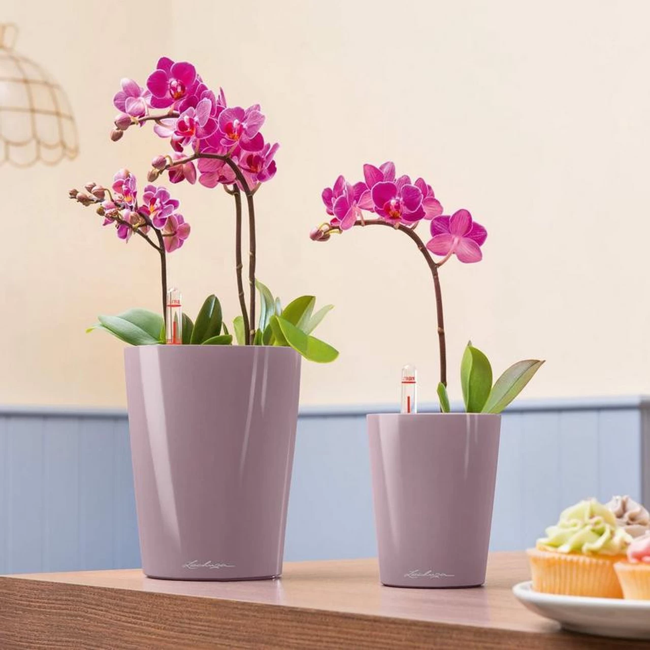 LECHUZA Deltini Round Planter 6 LECHUZA Deltini Round Planter - Image 4