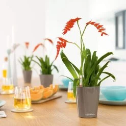 LECHUZA Deltini Round Planter