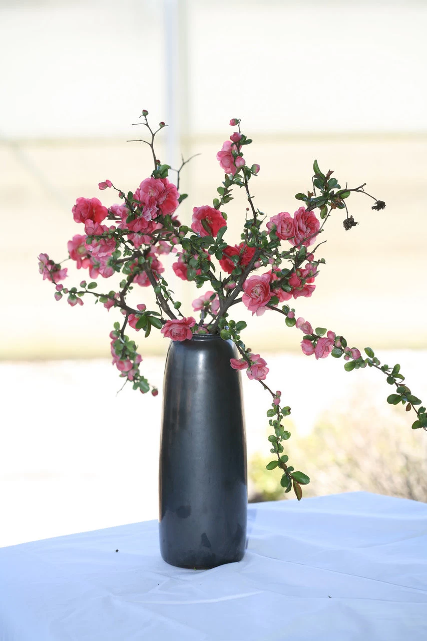 Double Take Pink Quince 4 Double Take Pink Quince - Image 2