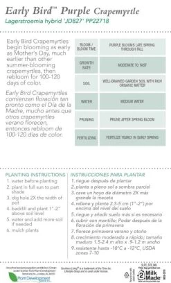 Early Bird Purple Crape Myrtle -Garden Plant Store Early Bird Purple Crape Myrtle Plant Care 47372.1640160852