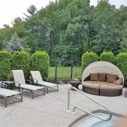 Emerald Green Arborvitae -Garden Plant Store Emerald Green Arborvitae Hedge Behind Outdoor Daybed 51036.1501642750