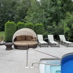 Emerald Green Arborvitae -Garden Plant Store Emerald Green Arborvitae Shrubs by Outdoor Daybed 01870.1501642873