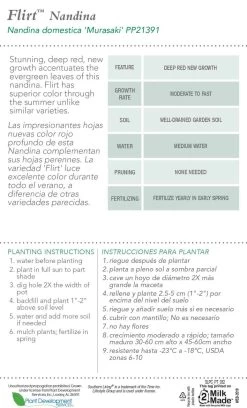 Flirt Nandina -Garden Plant Store Flirt Nandina Plant Care 76155.1640841612