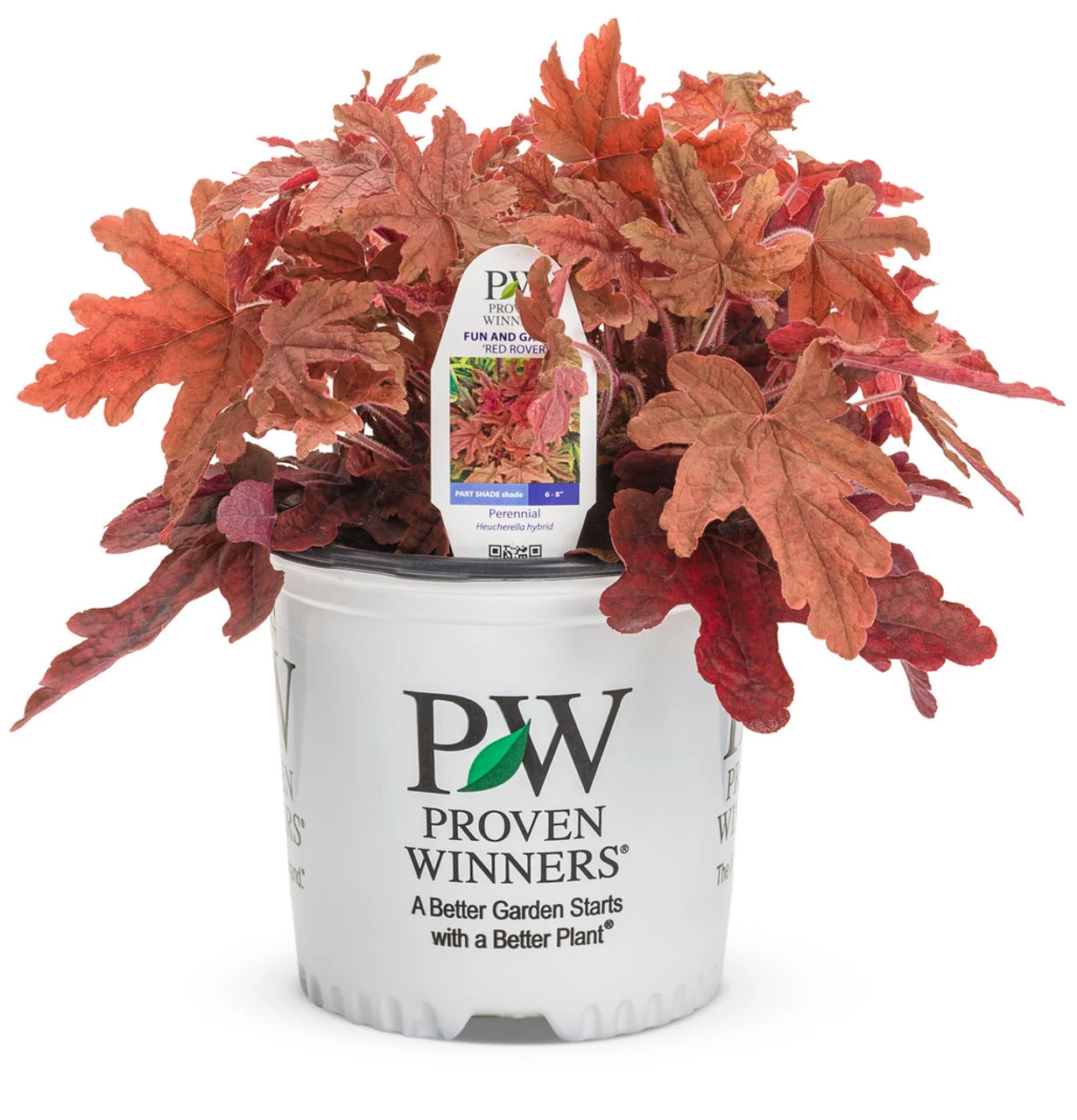 Fun And Games® Red Rover Foamy Bells - Image 9