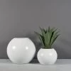 Globe Planters 2 Globe Planters -Garden Plant Store Globe Planters with plants 94189.1667841219