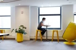 Hayden Tapered Round Planters -Garden Plant Store Hayden Tapered Round Planters Inside Business Lobby 06335.1661181191