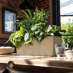 LECHUZA Balconera Stone Rectangular Balcony Planter 13 LECHUZA Balconera Stone Rectangular Balcony Planter -Garden Plant Store Indoor Balconera Stone Rectangular Balcony Planter 41626.1620969643