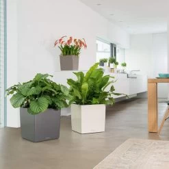 LECHUZA Cube Planter -Garden Plant Store Indoor Cube Planters 25347.1619209280