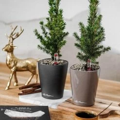 LECHUZA Deltini Round Planter 14 LECHUZA Deltini Round Planter -Garden Plant Store Indoor Deltini Round Planters 75905.1619555733