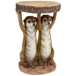 Kalahari Meerkat Maitre Ds Plant Stand -Garden Plant Store Kalahari Meerkat Maitre ds Plant Stand Corner View 39539.1629075072