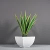 Kathryn Square Tapered Planters -Garden Plant Store Kathryn Square Tapered Planter with plants 91002.1612240945