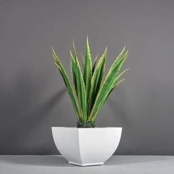 Kathryn Square Tapered Planters