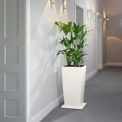 Lechuza Square Planter Coasters -Garden Plant Store Lechuza Square Planter Coasters With Matching White Planter 97347.1619621372