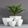 Lima Square Tapered Planters -Garden Plant Store Lima Square Tapered Planters with plants 59730.1667841284
