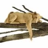 Lioness Of Namibia Statue -Garden Plant Store Lioness of Namibia Statue 71348.1636784085