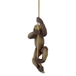 Makokou The Climbing Monkey Statue -Garden Plant Store Makokou the Climbing Monkey Statues Other View 35223.1636624342
