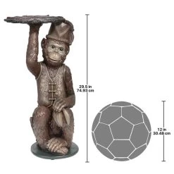Moroccan Monkey Butler Plant Stand 13 Moroccan Monkey Butler Plant Stand -Garden Plant Store Moroccan Monkey Butler Plant Stand Scale Comparison View 83930.1629077395