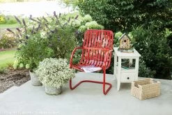 My Monet® Weigela -Garden Plant Store My Monet Weigela in Garden Planter on the Patio 69155.1523225048