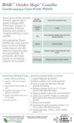 October Magic Bride Camellia -Garden Plant Store October Magic Bride Camellia Plant Care 11456.1640860785