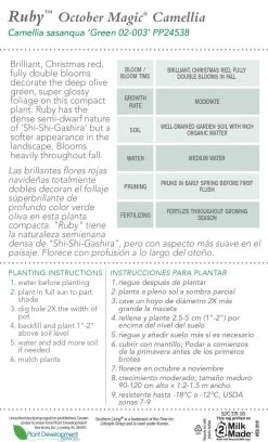 October Magic Ruby Camellia -Garden Plant Store October Magic Ruby Camellia Plant Care 33735.1640862086