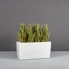 Panama Rectangular Tapered Planters -Garden Plant Store Panama Rectangular Tapered Planter with plants 76532.1612279600