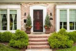 Pinpoint® Blue False Cypress -Garden Plant Store Pinpoint Blue False Cypress in the autumn 16589.1610644057